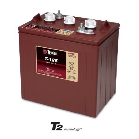 Batterie 125 ex CR235 TROJAN - DEEP CYCLE ACIDE - 6V - 240Ah