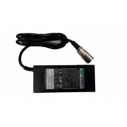 Chargeur TranzX 24V Lithium pour vélo électrique