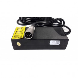 Chargeur TranzX 24V Lithium pour vélo électrique